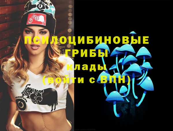 синтетический гашиш Верхний Тагил