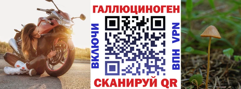 как найти Добрянка Псилоцибиновые грибы Psilocybe